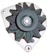 friesen-9032930