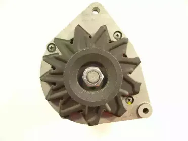 friesen-9032950