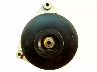 friesen-9033150