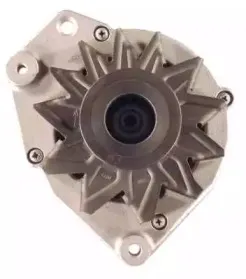 friesen-9033160