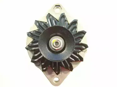 friesen-9033230