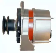 friesen-9033350