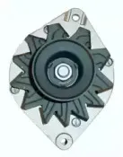 friesen-9033350