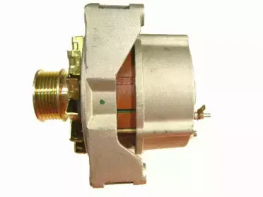 friesen-9033720