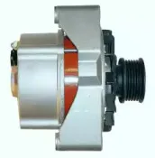 friesen-9033730