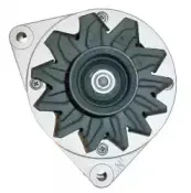 friesen-9033730