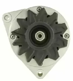 friesen-9033740