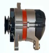 friesen-9033890