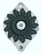 friesen-9033890