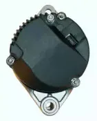 friesen-9033890