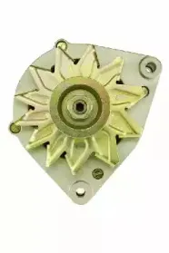 friesen-9033910