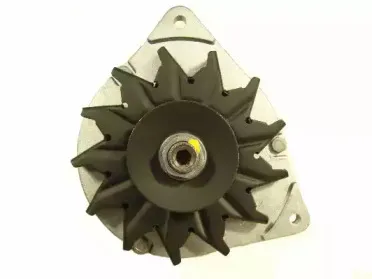 friesen-9033940