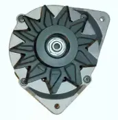 friesen-9034010