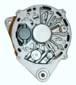 friesen-9034010