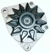 friesen-9034030