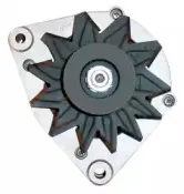 friesen-9034120