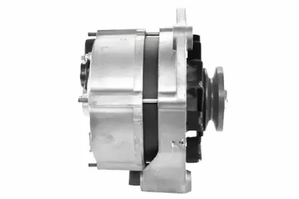 friesen-9034130
