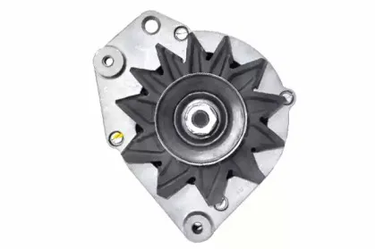friesen-9034130