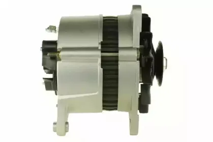 friesen-9034470