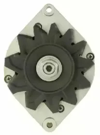 friesen-9034650