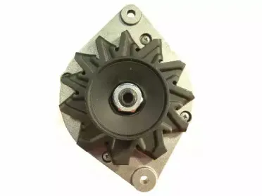 friesen-9034660