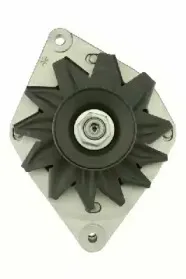 friesen-9034740