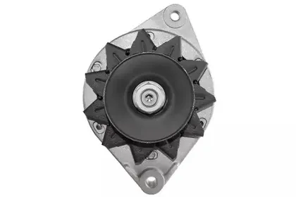 friesen-9034761