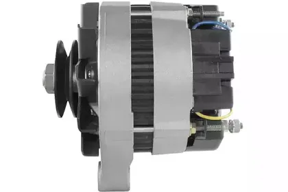 friesen-9034771