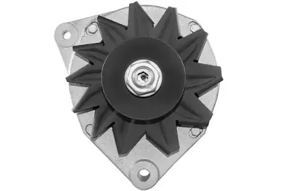 friesen-9034771