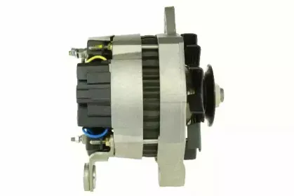 friesen-9034781