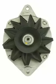 friesen-9034781
