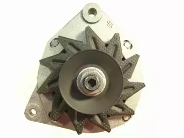 friesen-9034791