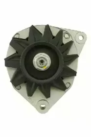 friesen-9034841