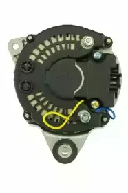 friesen-9034841