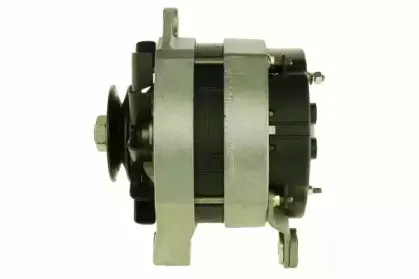 friesen-9034851