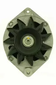 friesen-9034851