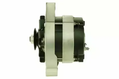 friesen-9034901