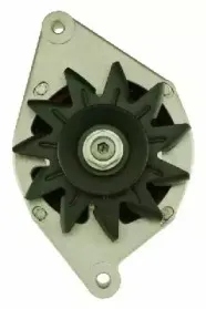 friesen-9034901