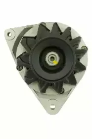 friesen-9035670