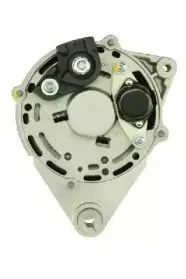friesen-9035670
