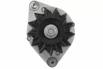 friesen-9035690