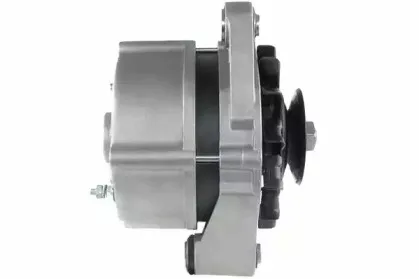 friesen-9035690