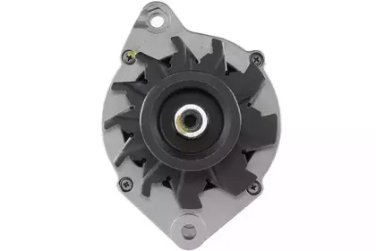 friesen-9035710