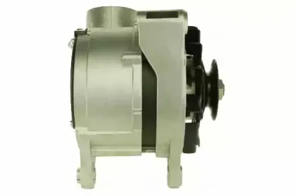 friesen-9035730
