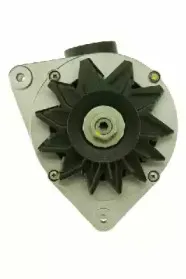 friesen-9035750