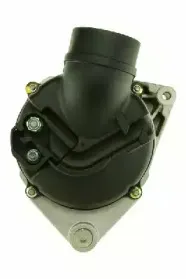 friesen-9035750