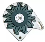 friesen-9035780
