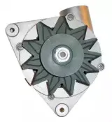 friesen-9035810