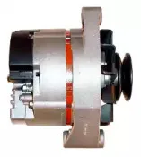 friesen-9035841