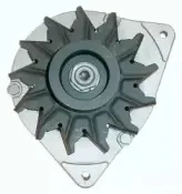 friesen-9036060